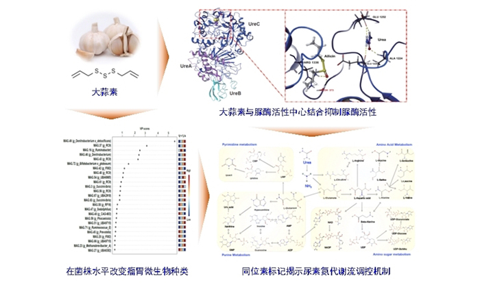 微信截图_20250603102349.png